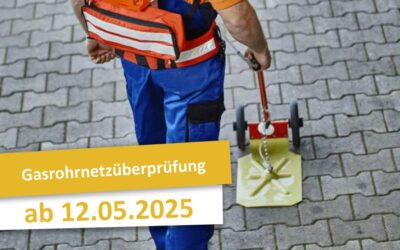 Gasrohrnetzüberprüfung